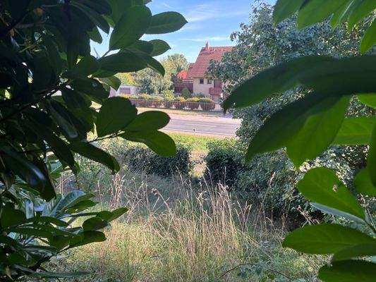 Platz für Ideen (Garten unten) 