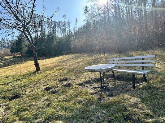 für den grünen Daumen