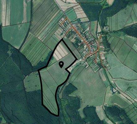 Iliny Ortofoto mit Grundstücksgrenze