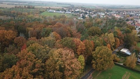 Zeitz Bauernhöfe, Landwirtschaft, Zeitz Forstwirtschaft