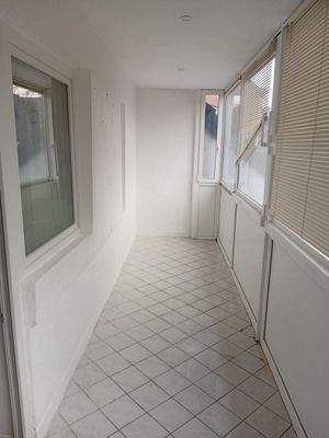 WhatsApp Image 2026-02-17 at 16.18.53