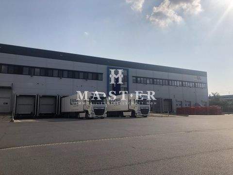 Hüttenberg Halle, Hüttenberg Hallenfläche