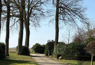 repräsentative Hofauffahrt