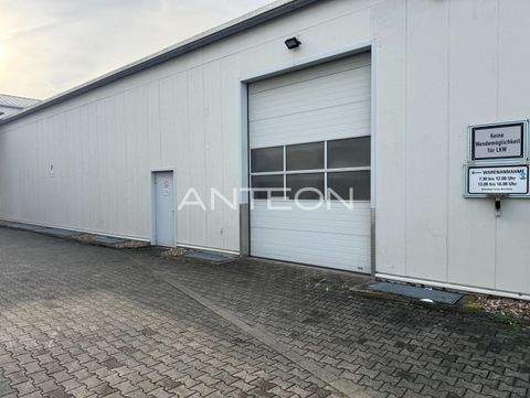 Dormagen Halle, Dormagen Hallenfläche