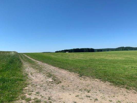 Grundstück - Blick Richtung Süden