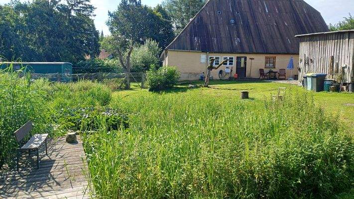 Blick über den Teich Richtung Haus
