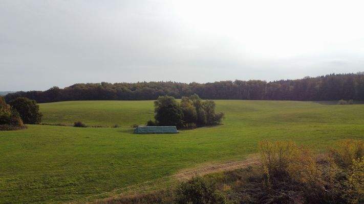 Umliegende Wiesen Grundstück Wittenbeck