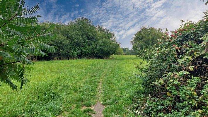 direkter Feldzugang vor dem Haus