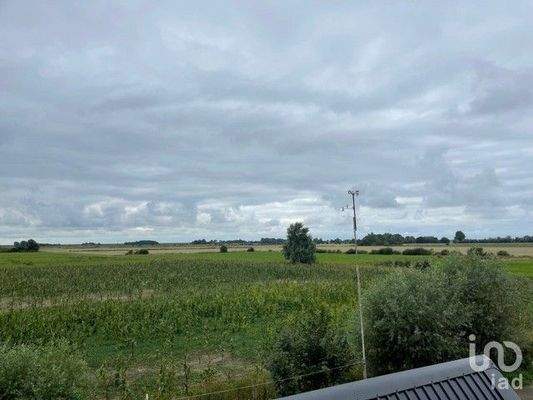 Blick in die Trendermarsch