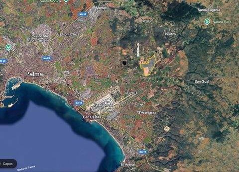 Palma De Mallorca Bauernhöfe, Landwirtschaft, Palma De Mallorca Forstwirtschaft