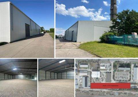 Leipzig Halle, Leipzig Hallenfläche