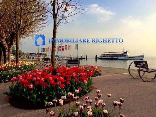 12932743_1141760699197586_3649621091991998967_n.jp