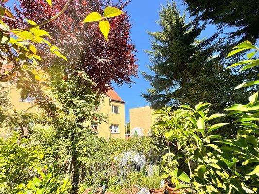 Blick von Garten zum Haus