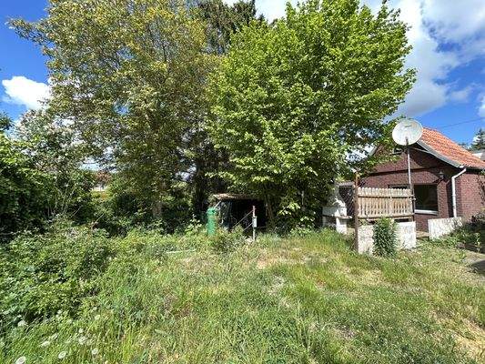 Blick aufs Grundstück