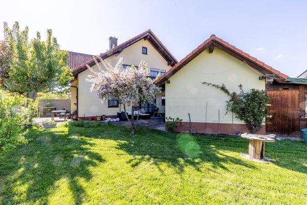 Garten mit Terrasse3.jpg