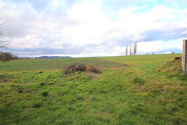 Ausblick Garten Feld