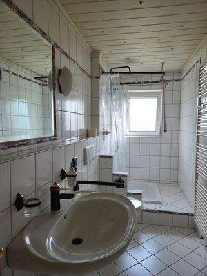 Tageslicht-Duschbad DG.jpg