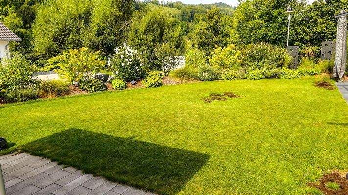 Grünfläche vor der Terrasse Westseite