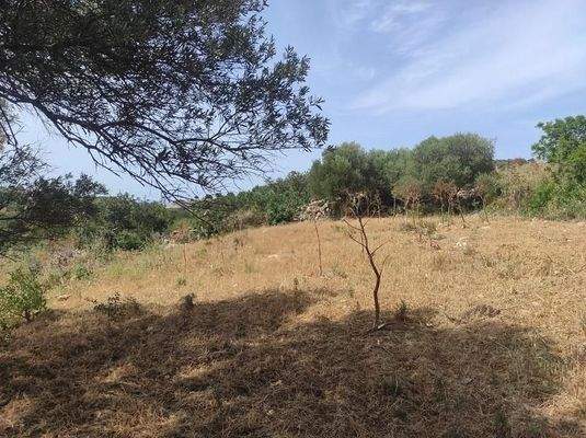 Kreta, Karoti: Grundstück mit Baugenehmigung und atemberaubendem Bergblick zu verkaufen