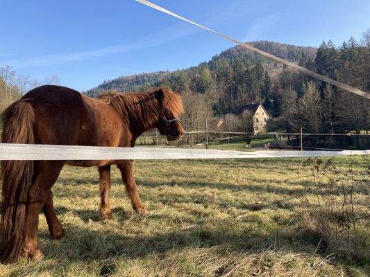 Ansicht von Nord/Frühjahr25