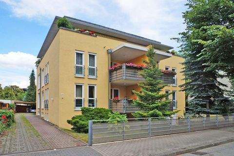 Dresden Wohnungen, Dresden Wohnung mieten