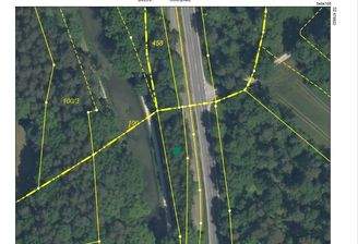 Waldstück Mühlen.jpg