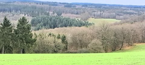 Hecken Bauernhöfe, Landwirtschaft, Hecken Forstwirtschaft