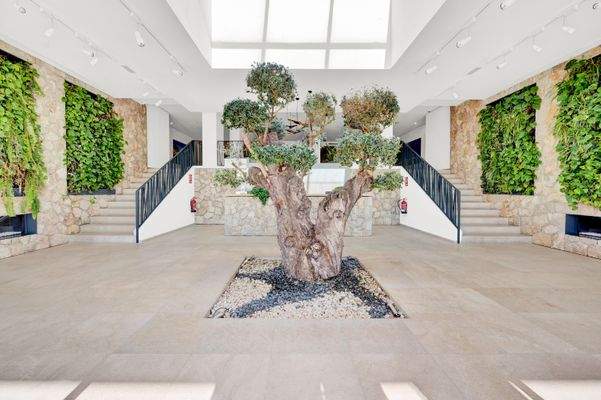 Entrance to apartments in Portals Nous 2