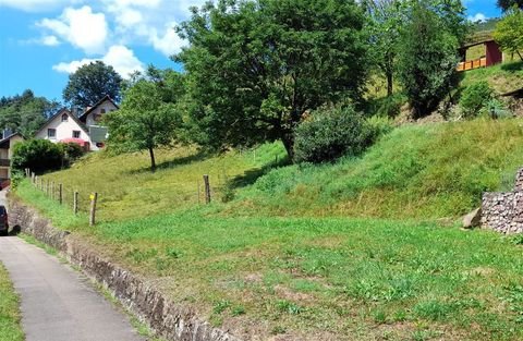 Schuttertal Grundstücke, Schuttertal Grundstück kaufen