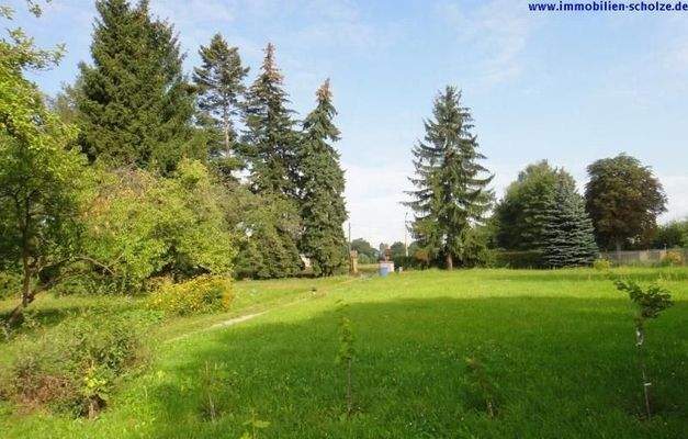 Blick in Richtung Straße