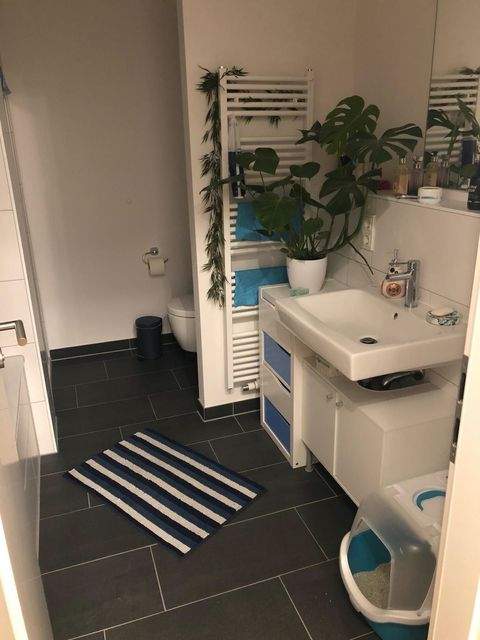 Mainz Wohnungen, Mainz Wohnung mieten