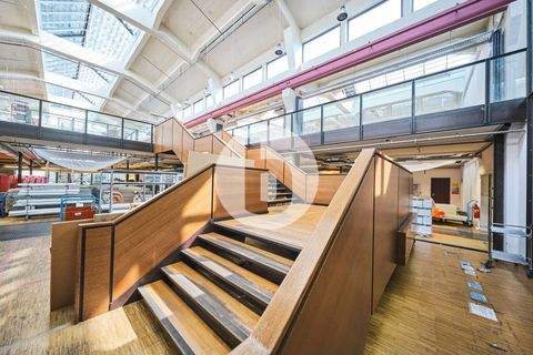 Hamburg Halle, Hamburg Hallenfläche