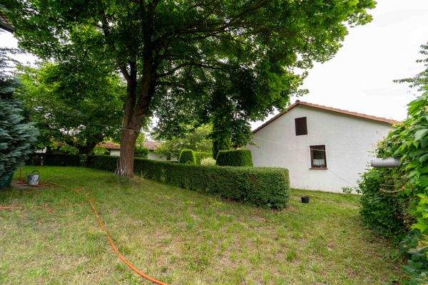 Außenansicht + Garten