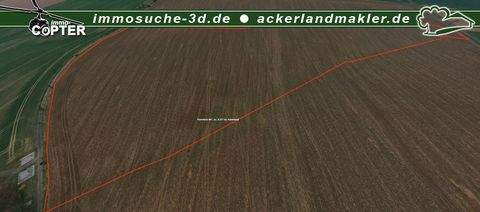 Klipphausen / Luga Bauernhöfe, Landwirtschaft, Klipphausen / Luga Forstwirtschaft