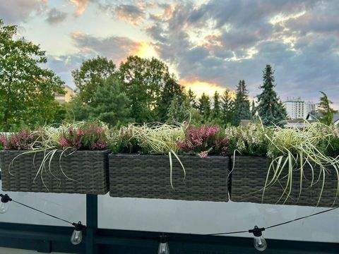 Maintal Wohnungen, Maintal Wohnung mieten