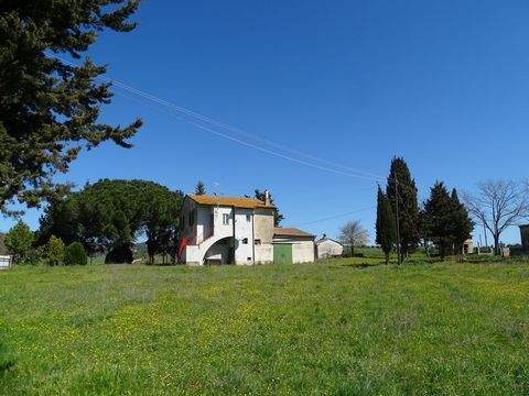 Campagnatico  Häuser, Campagnatico  Haus kaufen