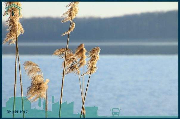 1917 Blick über den See (2).jpg