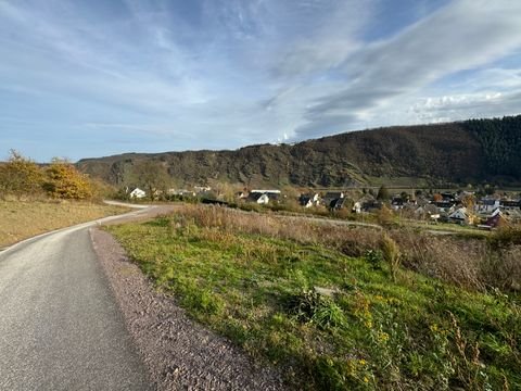 Traben-Trarbach Grundstücke, Traben-Trarbach Grundstück kaufen