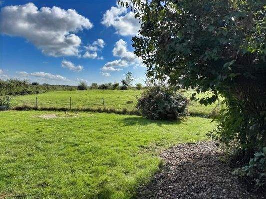 Blick in den Garten II