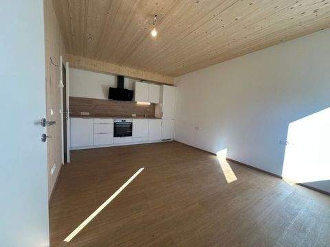 Lienz Wohnungen, Lienz Wohnung mieten