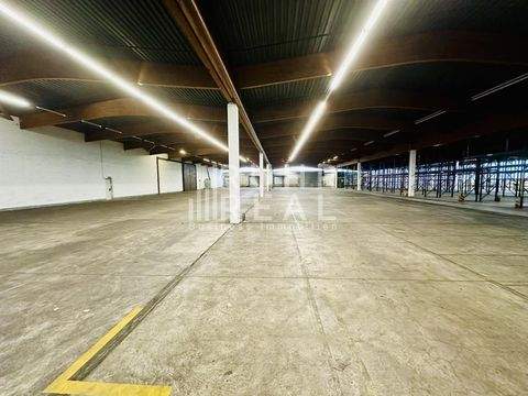 Haan Halle, Haan Hallenfläche