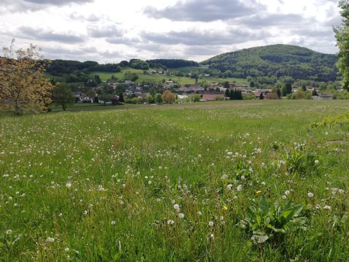 Das letzte sonnige Baugrundstück in Zenting - Bayerischer Wald - zu verkaufen