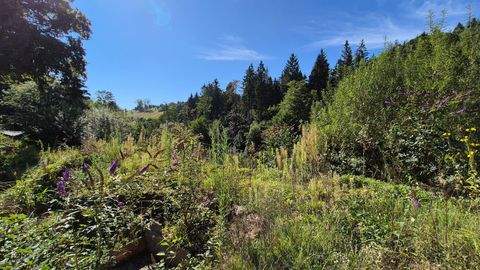 Spiegelberg Grundstücke, Spiegelberg Grundstück kaufen