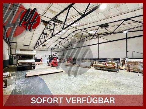 Frankfurt am Main Halle, Frankfurt am Main Hallenfläche