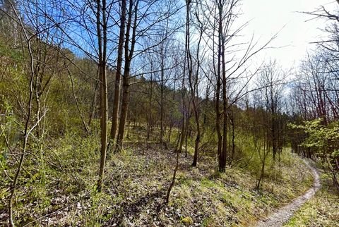 Bad Kissingen Grundstücke, Bad Kissingen Grundstück kaufen