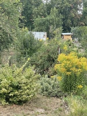 Gartenidylle