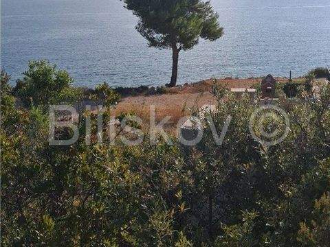 Solta Bauernhöfe, Landwirtschaft, Solta Forstwirtschaft