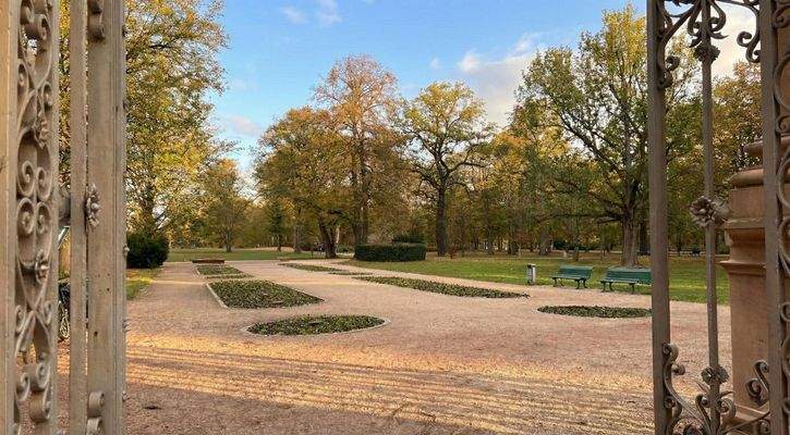 Bürgerpark im Herbst