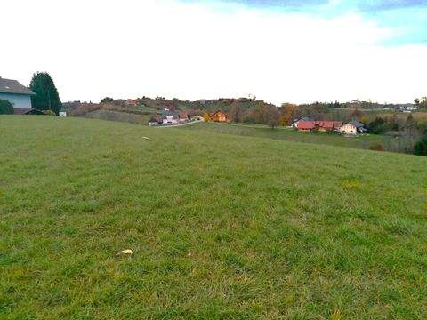 Zgornja Velka Bauernhöfe, Landwirtschaft, Zgornja Velka Forstwirtschaft