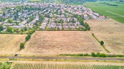 Wachenheim Grundstücke, Wachenheim Grundstück kaufen